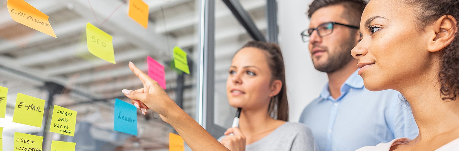 Training for Businesses, Schools, Art and Public Sector in Midlands